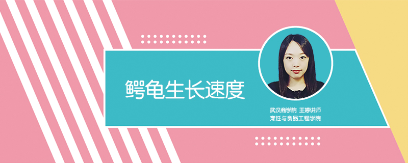 鱷龜生長速度
