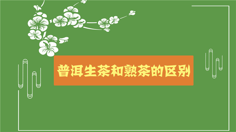 普洱生茶和熟茶的區別