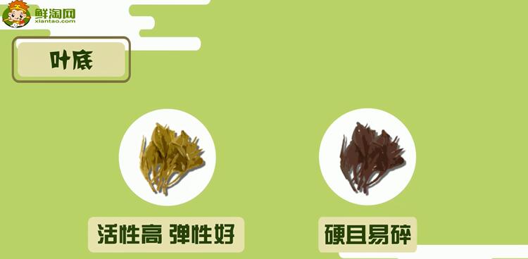 普洱生茶和熟茶的區別