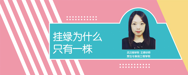 掛綠為什么只有一株