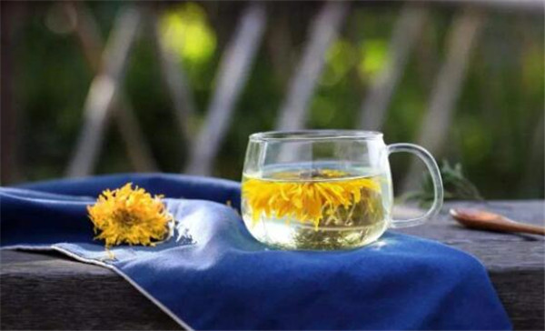 夏天花茶涼茶有哪些，廣東下火涼茶有哪些