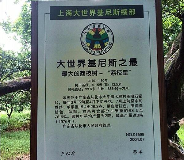世界上最大的荔枝樹有多大，中國(guó)最古老的荔枝樹在哪里