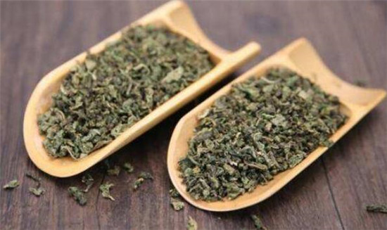 蒲公英茶可以減肥嗎，蒲公英茶和什么一起喝減肥