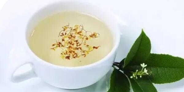 蒲公英茶泡鮮的還是干的,蒲公英茶怎么泡效果好
