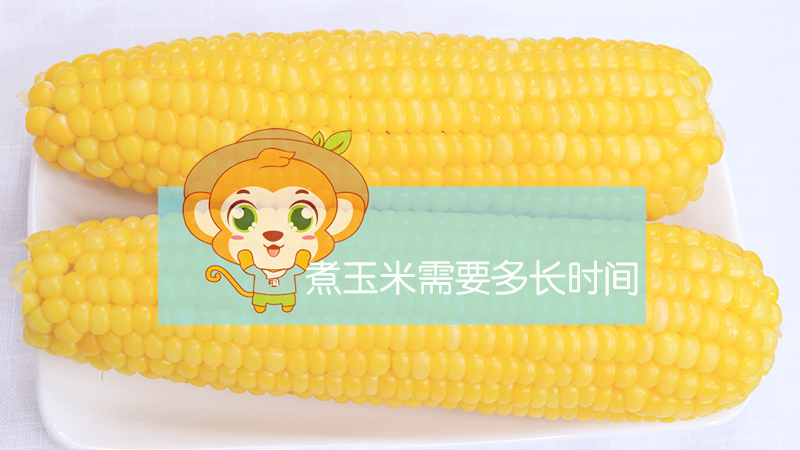 煮玉米需要多長時間