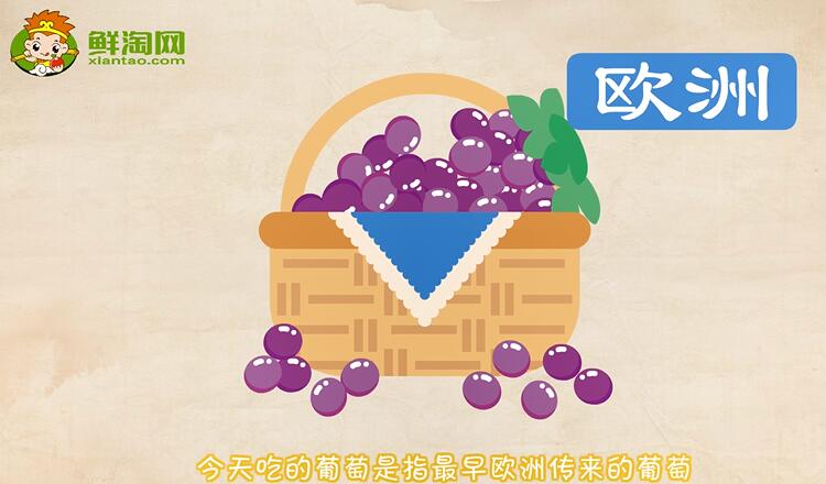 中國種植葡萄始于