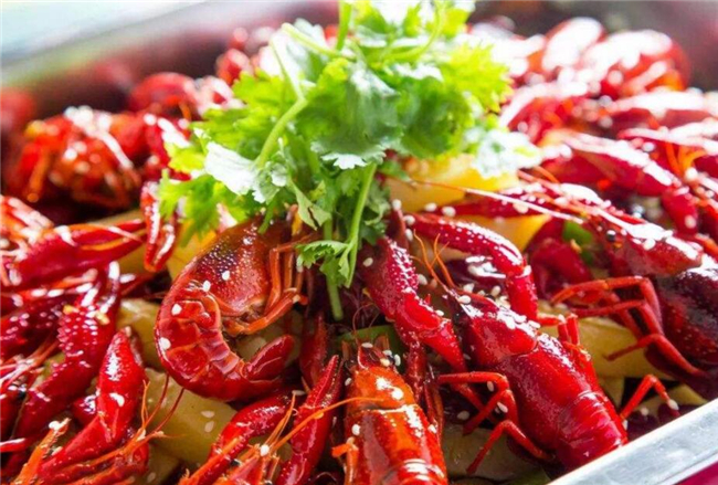 釣小龍蝦的季節(jié)，武漢小龍蝦季節(jié)是幾月