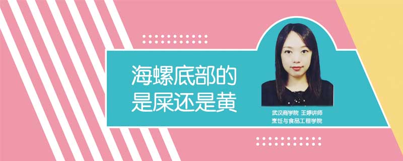 海螺底部的是屎還是黃