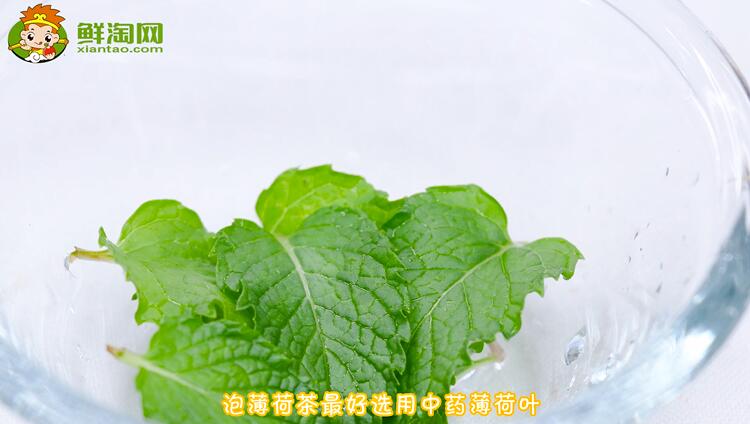 薄荷葉怎么泡水
