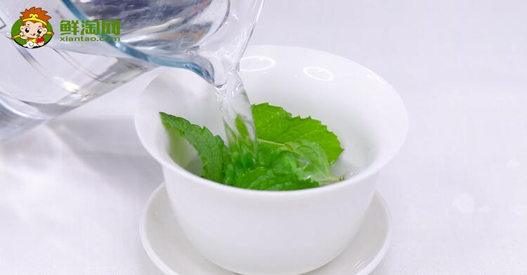 薄荷葉怎么泡水