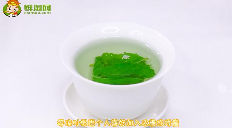 薄荷葉怎么泡水