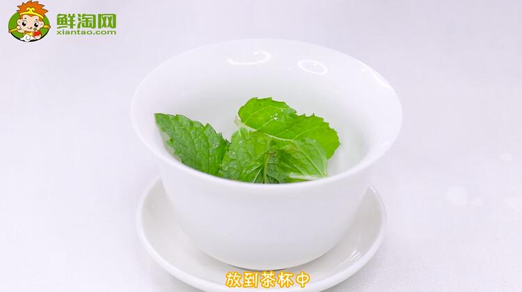 薄荷葉怎么泡水