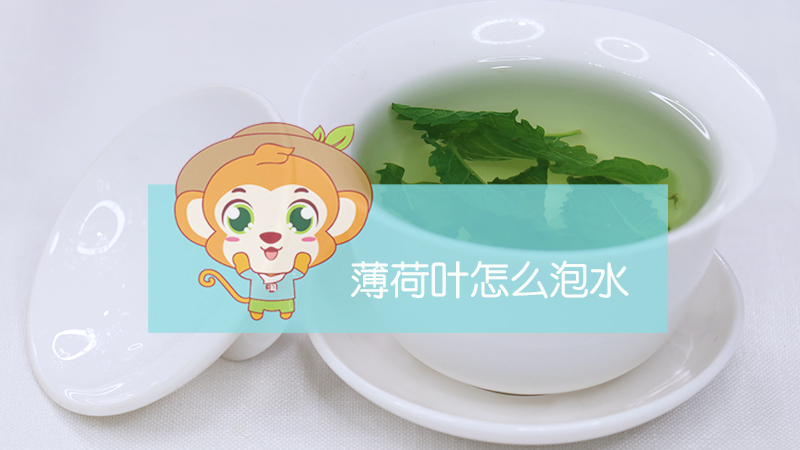 薄荷葉怎么泡水