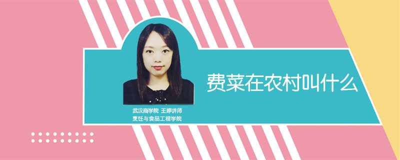 費菜在農村叫什么