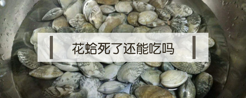 花蛤死了了還能吃嗎