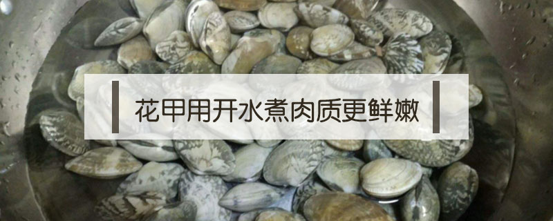 花甲開水煮還是冷水煮