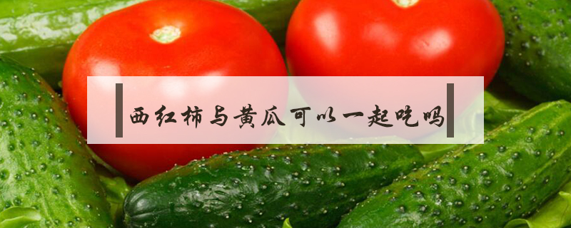 西紅柿與黃瓜可以一起吃嗎
