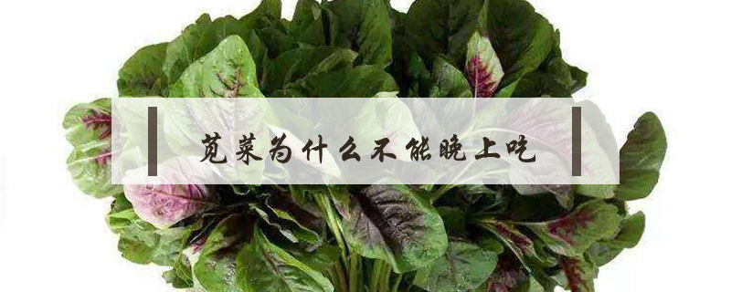 莧菜為什么不能晚上吃