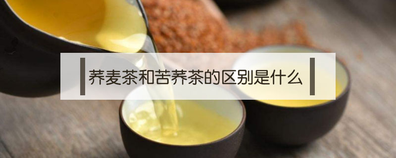 蕎麥茶和苦蕎茶的區(qū)別是什么