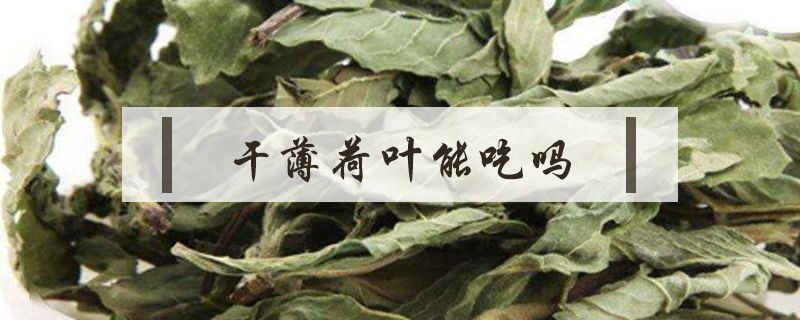 干薄荷葉能吃嗎