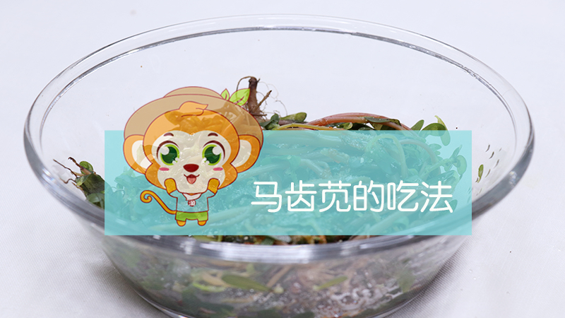 馬齒莧的吃法