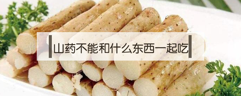 山藥不能和什么東西一起吃