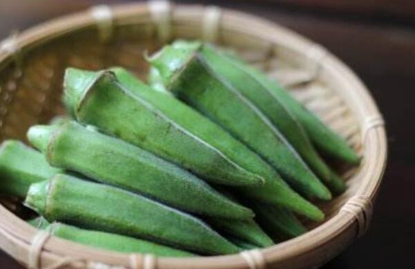 秋葵在浙江什么時候可以種植，秋葵剛結果什么時候可以摘