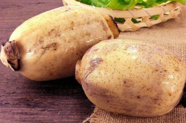 新墾蓮藕節何時開，新墾蓮藕哪里買