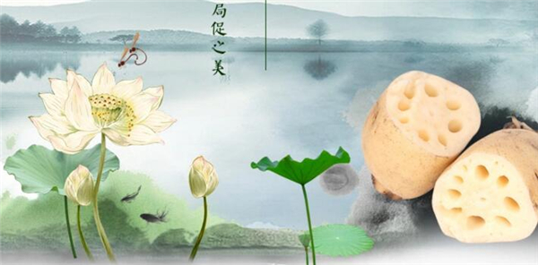 淺水蓮藕什么時候下種,極早熟淺水蓮藕品種