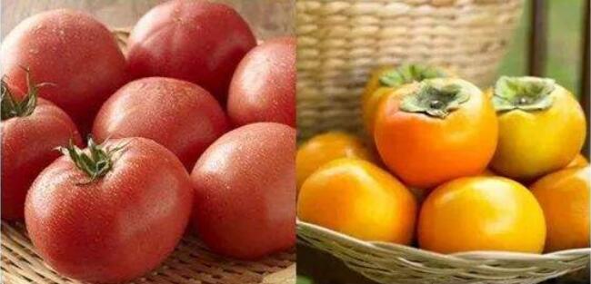 柿子和西紅柿有什么區別,柿子和西紅柿怎么分辨