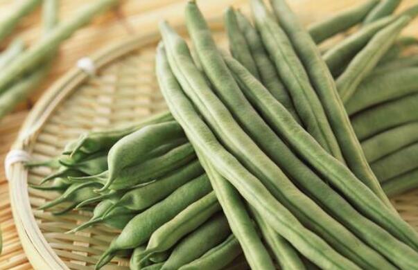 四季豆是什么豆角，和四季豆長得像是什么豆角