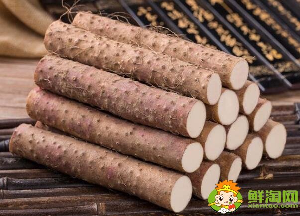 淮山和鐵棍山藥的區(qū)別，淮山藥好還是鐵棍山藥