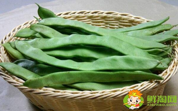 蕓豆跟蠶豆是一樣的嗎，蕓豆和蠶豆的區(qū)別