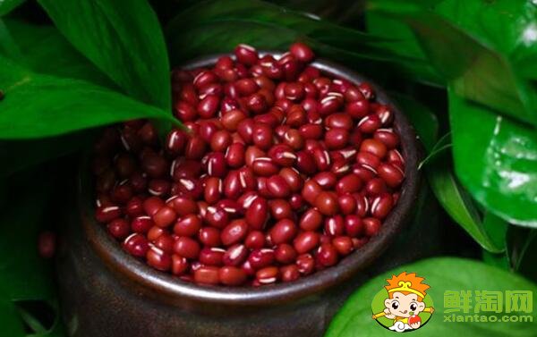 紅蕓豆和紅豆有什么區(qū)別，紅蕓豆與赤小豆有區(qū)別嗎