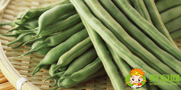 四季豆是什么季節(jié)的菜，四季豆是什么時候上市