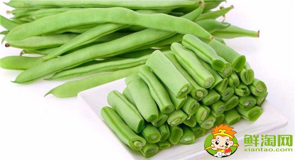 四季豆是什么時候種的,四季豆什么時候種最好