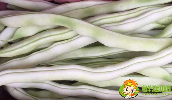 白色的豆角叫什么，白不老豆角有毒嗎