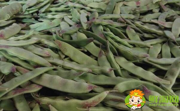 油豆角怎么冷凍保存，油豆角怎么凍冬天好吃