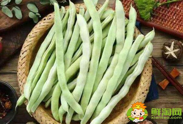 老來(lái)嫩豆角是啥，豆角為什么叫老來(lái)嫩