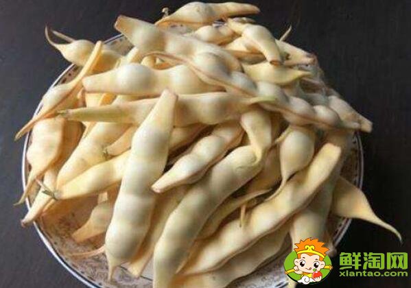 各種豆角圖片和名稱，適合北方種的各種豆角圖片