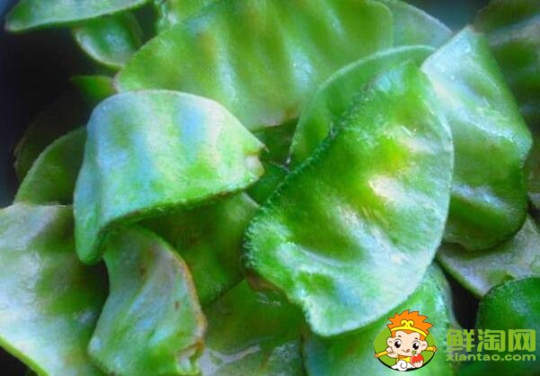 各種豆角圖片和名稱，適合北方種的各種豆角圖片