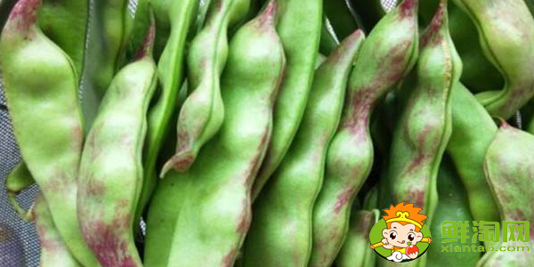 油豆角怎么挑選，油豆角怎么處理