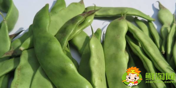 油豆角怎么挑選，油豆角怎么處理