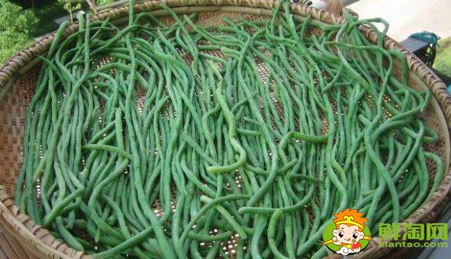 干豆角怎么曬干成綠色，曬干的干豆角可以放冰箱嗎