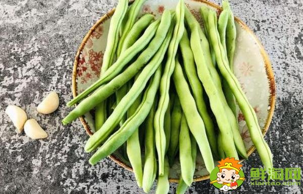 蕓豆長什么樣，蕓豆品種圖片大全