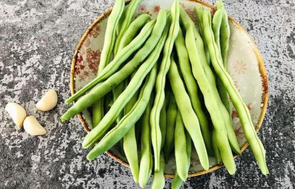 蕓豆長什么樣，蕓豆品種圖片大全