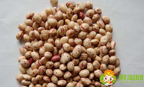 蕓豆長什么樣，蕓豆品種圖片大全