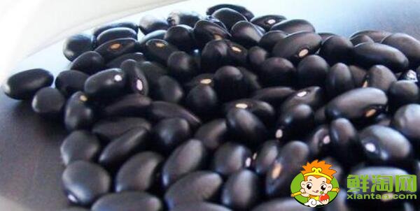 蕓豆長什么樣，蕓豆品種圖片大全