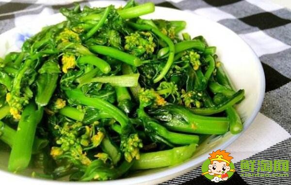 花菜和菜花是一種菜嗎，菜花怎么煮