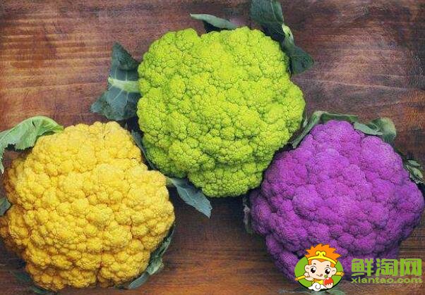 菜花有幾種圖片和名字，菜花的生長期是多少天